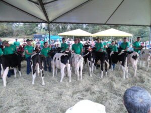 Integrantes de Iomerê - Clube da Bezerra